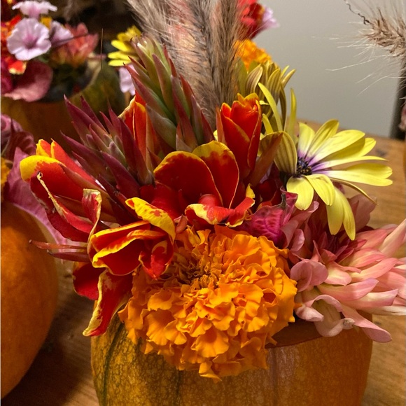 Meet your Posher, Jennifer - Picture 15 of 17